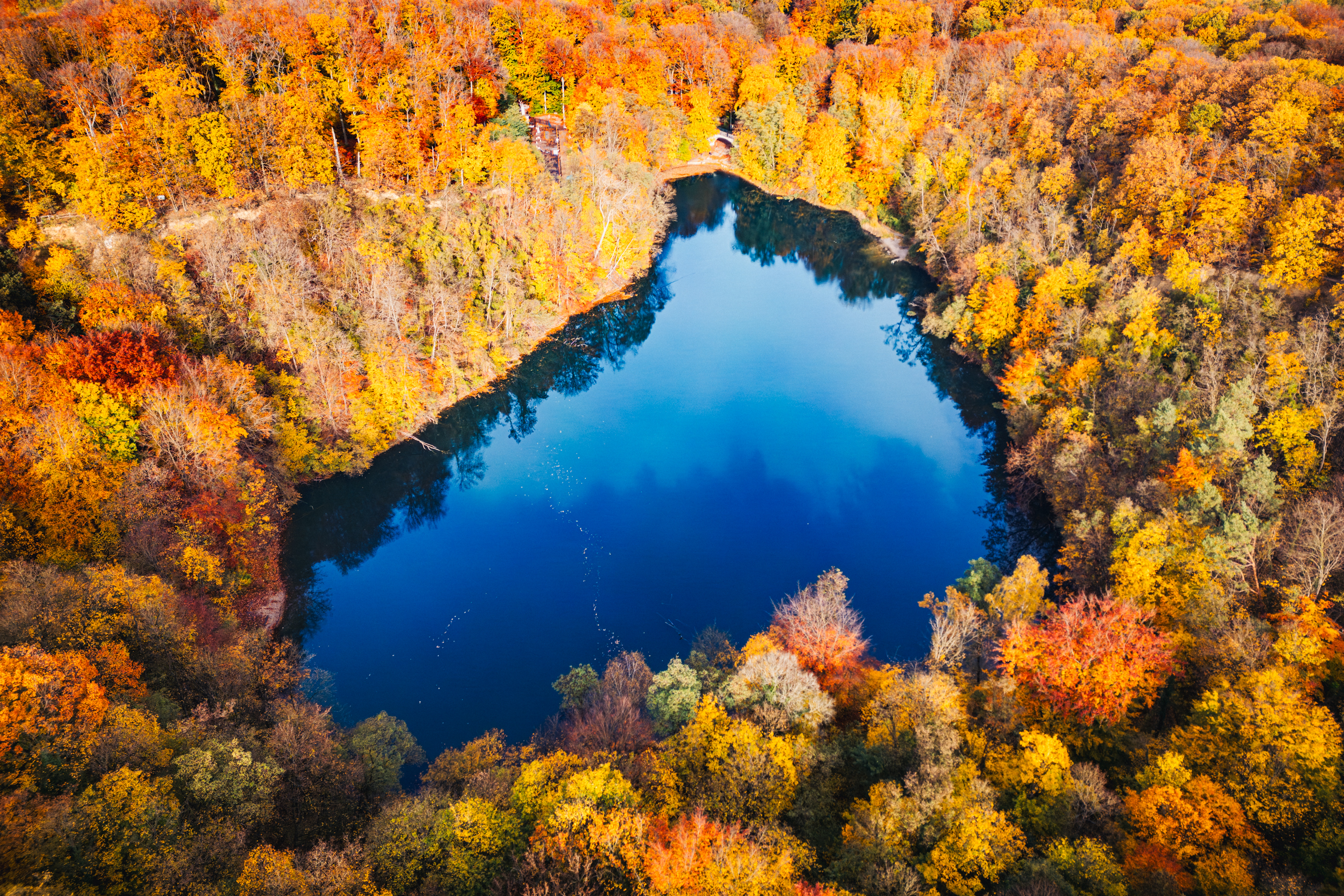 A forest lake enveloped in autumn, seen from a drone — intense reflections in the calm surface.