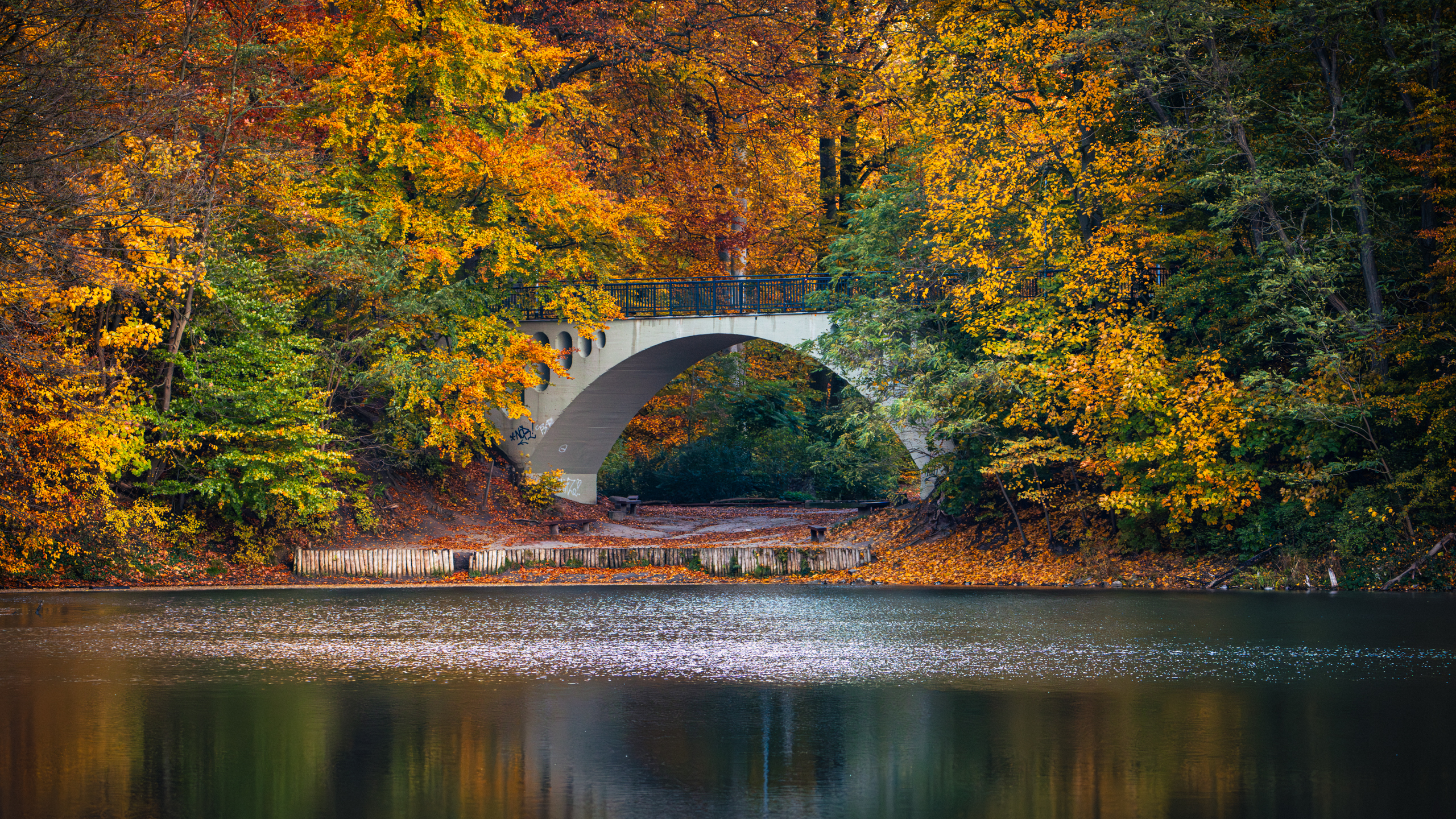A bridge over Emerald Lake in golden foliage, a long shot with the horizon line low above the water.