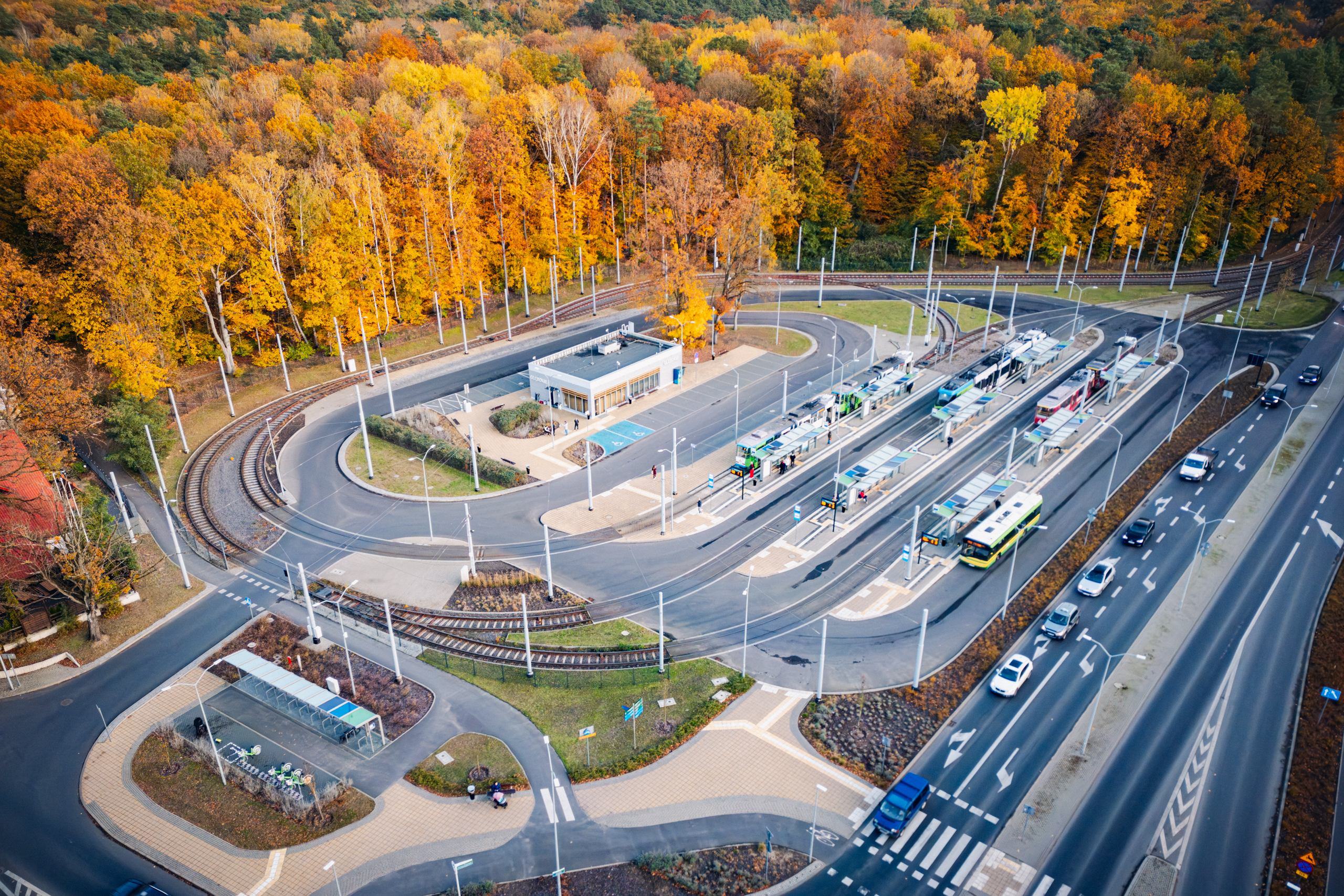 The Głębokie transport loop, a network of roads and stops surrounded by autumn tree crowns.