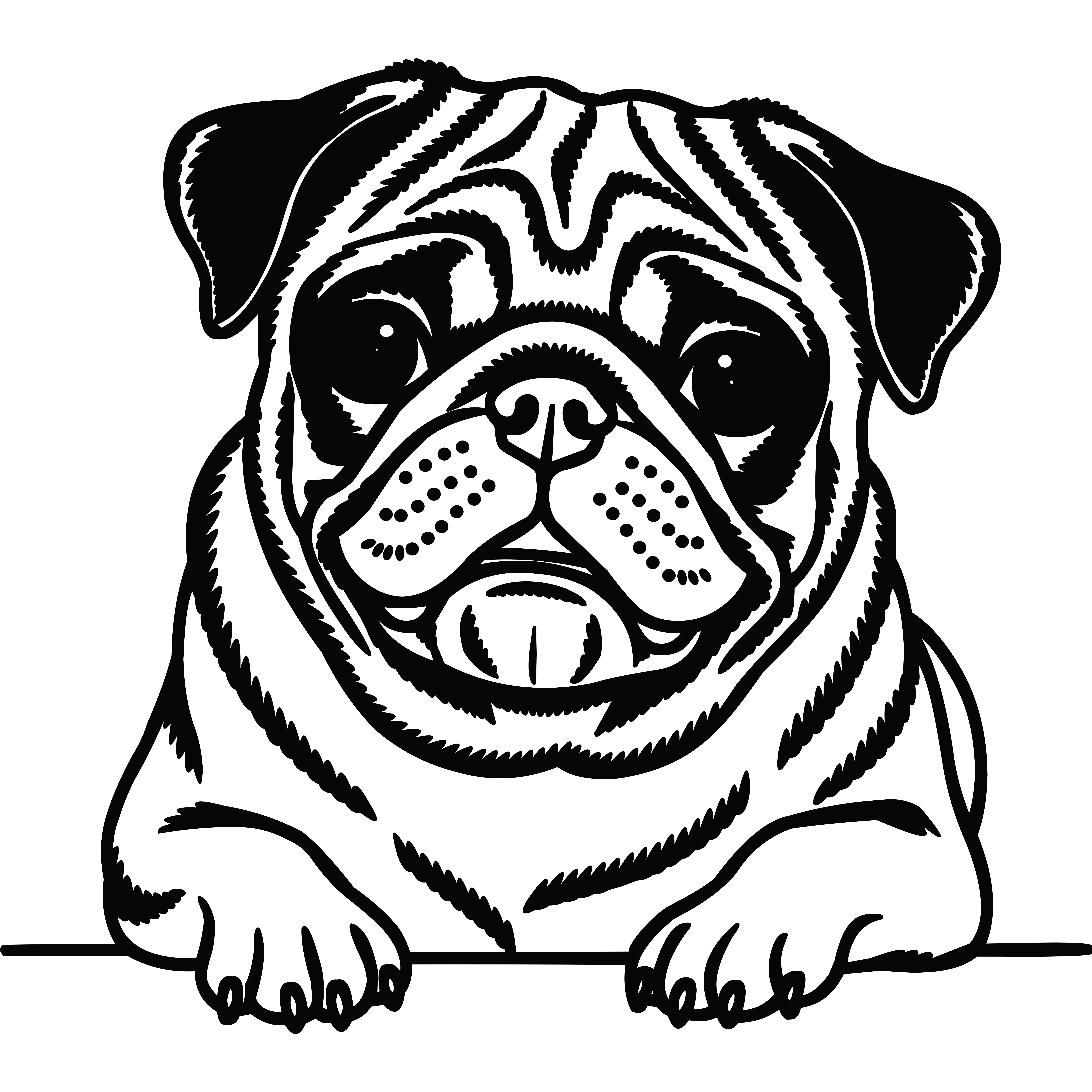 Portrait graphique d'un carlin dans le style tatouage — avec de grands yeux et des plis cutanés caractéristiques, regardant droit devant lui derrière une ligne horizontale.